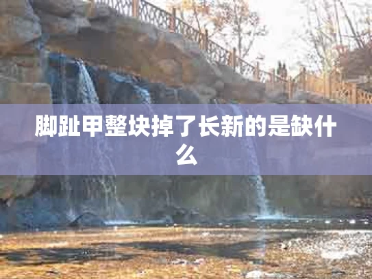 脚趾甲整块掉了长新的是缺什么