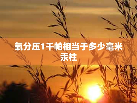 氧分压1千帕相当于多少毫米汞柱