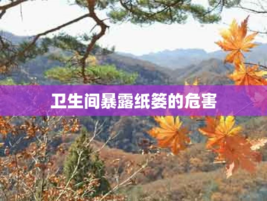 卫生间暴露纸篓的危害