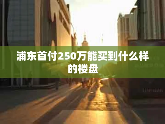 浦东首付250万能买到什么样的楼盘