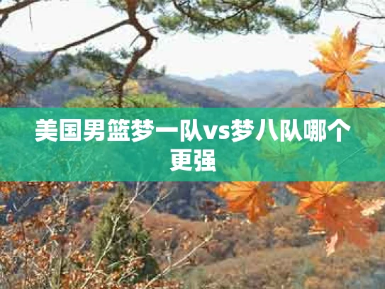 美国男篮梦一队vs梦八队哪个更强