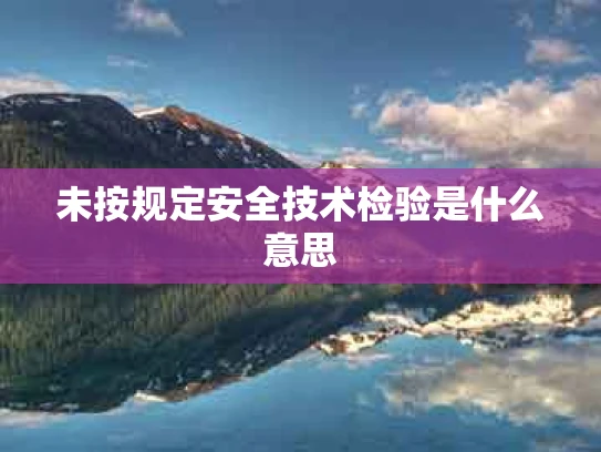 未按规定安全技术检验是什么意思