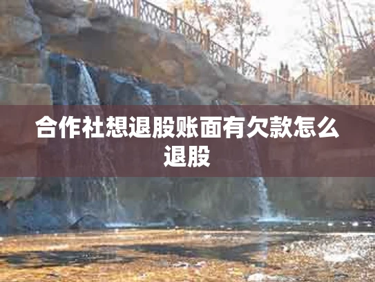 合作社想退股账面有欠款怎么退股