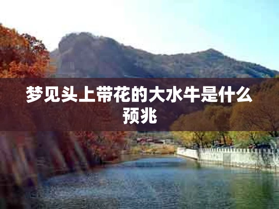 梦见头上带花的大水牛是什么预兆