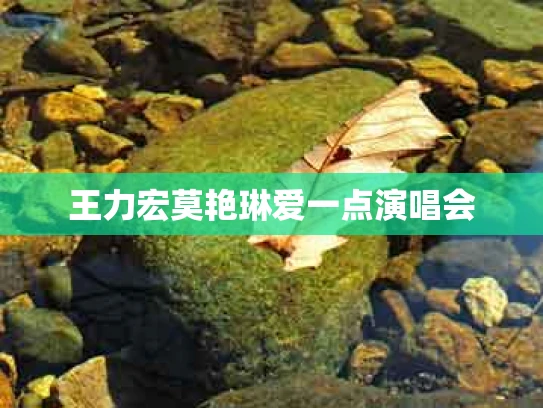 王力宏莫艳琳爱一点演唱会