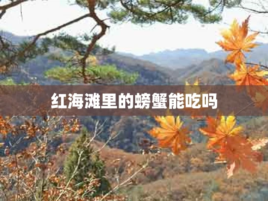 红海滩里的螃蟹能吃吗