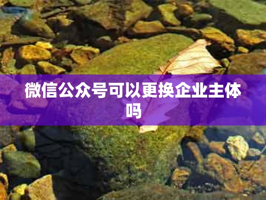 微信公众号可以更换企业主体吗