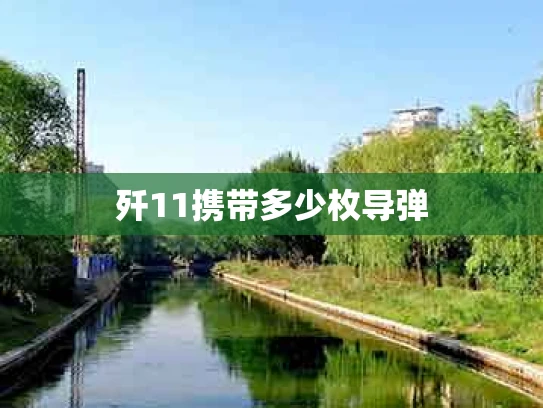 歼11携带多少枚导弹