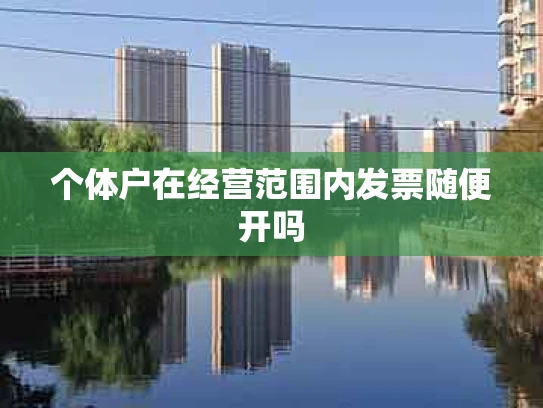 个体户在经营范围内发票随便开吗