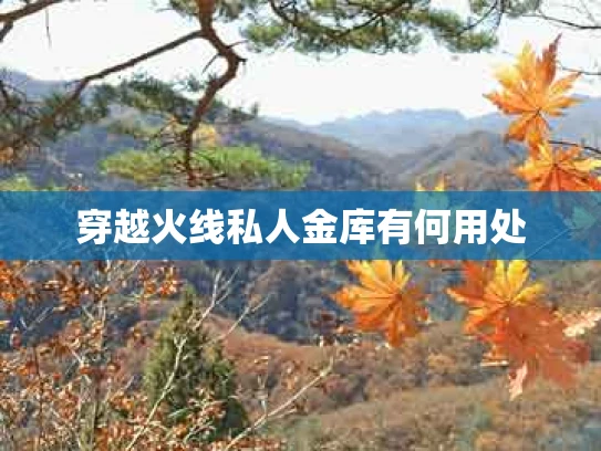 穿越火线私人金库有何用处