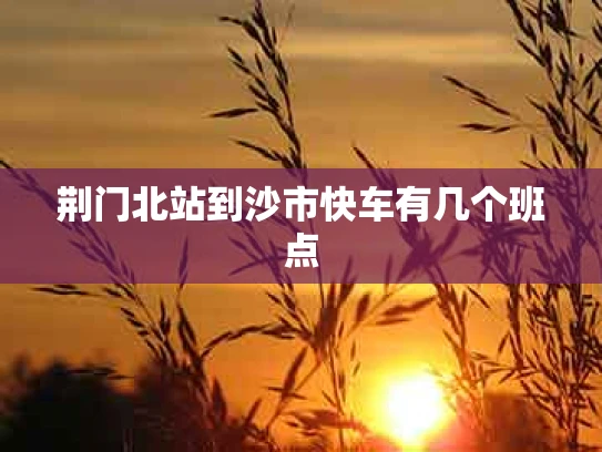 荆门北站到沙市快车有几个班点