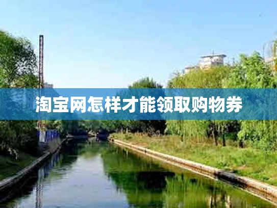 淘宝网怎样才能领取购物券