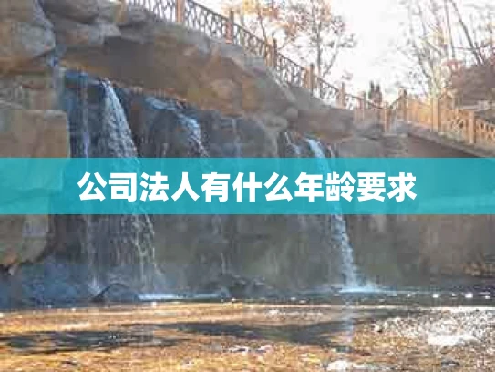 公司法人有什么年龄要求