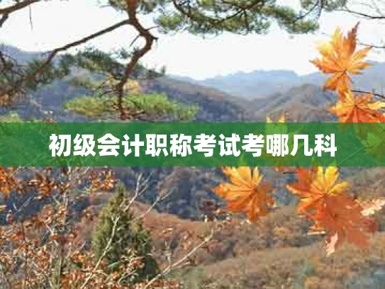 初级会计职称考试考哪几科