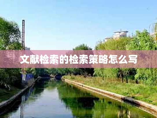 文献检索的检索策略怎么写