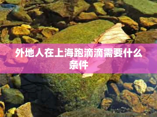 外地人在上海跑滴滴需要什么条件