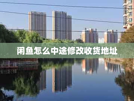 闲鱼怎么中途修改收货地址