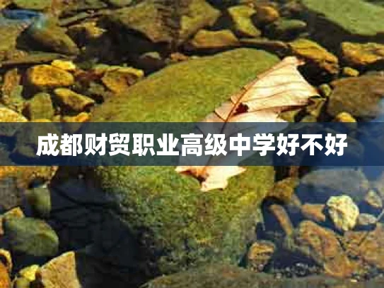 成都财贸职业高级中学好不好
