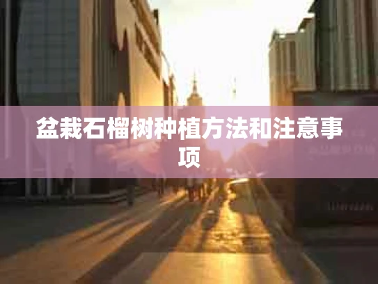 盆栽石榴树种植方法和注意事项