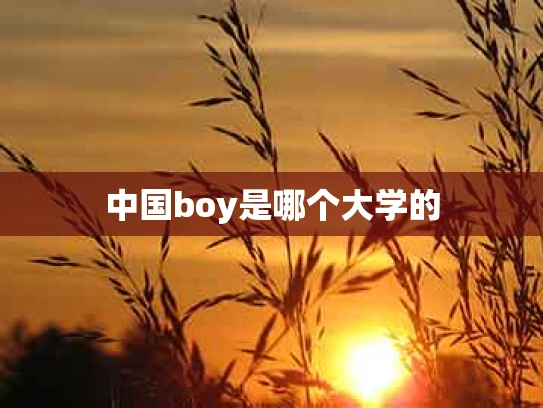 中国boy是哪个大学的