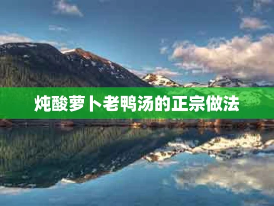 炖酸萝卜老鸭汤的正宗做法