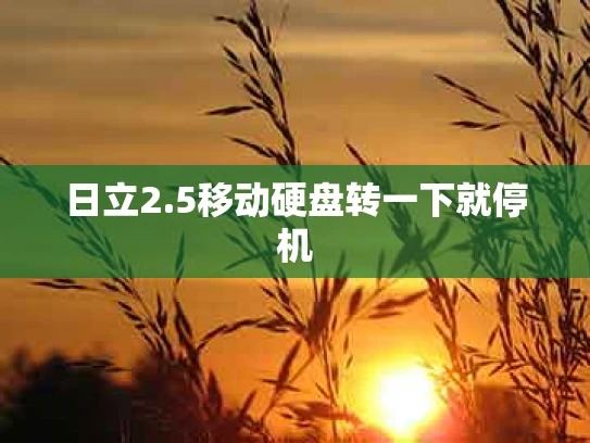 日立2.5移动硬盘转一下就停机