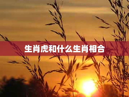 生肖虎和什么生肖相合