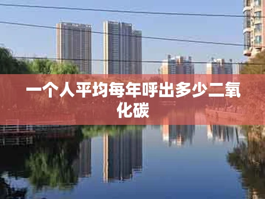 一个人平均每年呼出多少二氧化碳