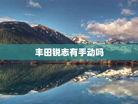 丰田锐志有手动吗