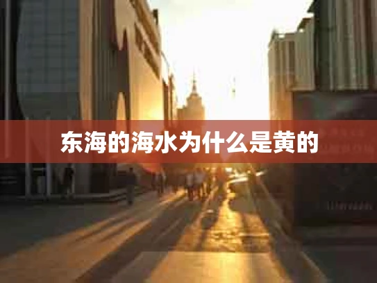 东海的海水为什么是黄的