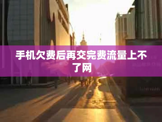手机欠费后再交完费流量上不了网