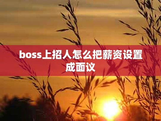 boss上招人怎么把薪资设置成面议