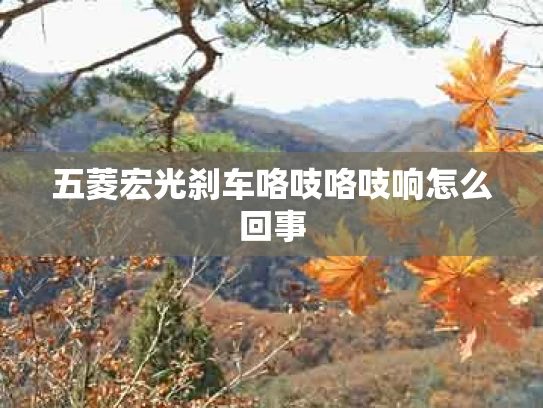 五菱宏光刹车咯吱咯吱响怎么回事