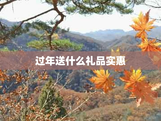 过年送什么礼品实惠