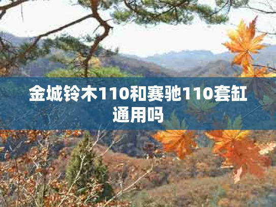 金城铃木110和赛驰110套缸通用吗
