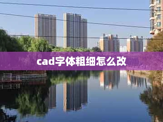 cad字体粗细怎么改
