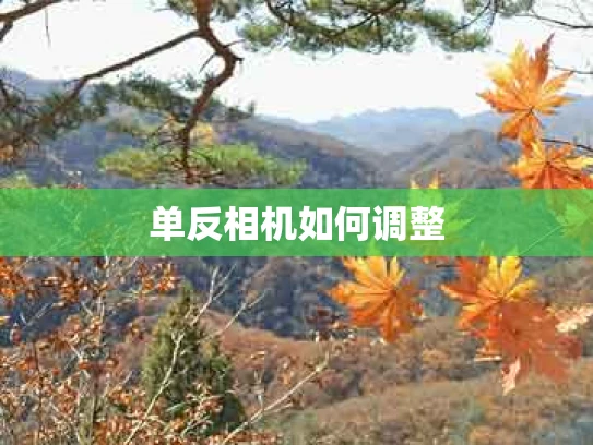 单反相机如何调整