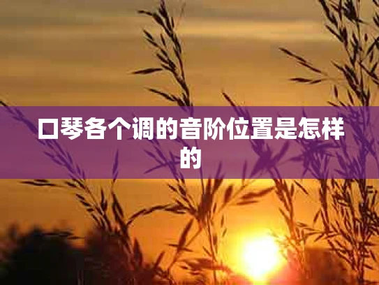 口琴各个调的音阶位置是怎样的