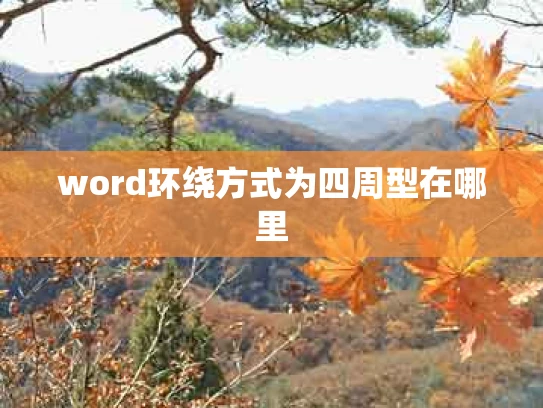 word环绕方式为四周型在哪里
