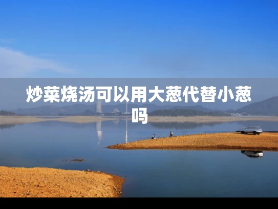 炒菜烧汤可以用大葱代替小葱吗