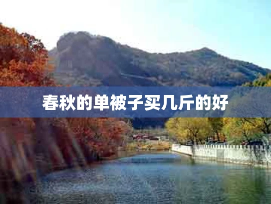 春秋的单被子买几斤的好