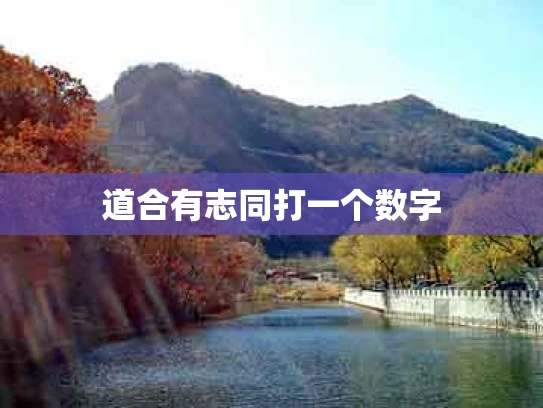 道合有志同打一个数字