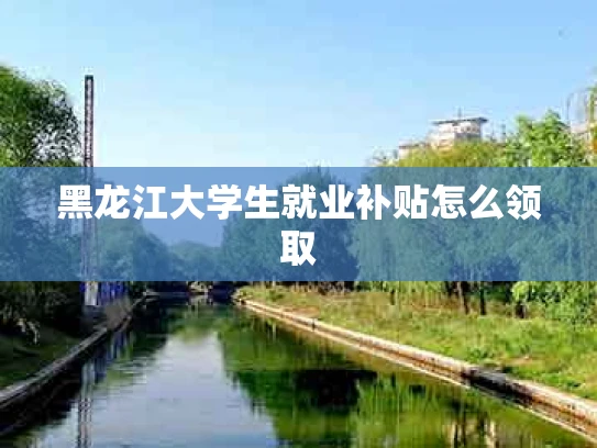 黑龙江大学生就业补贴怎么领取