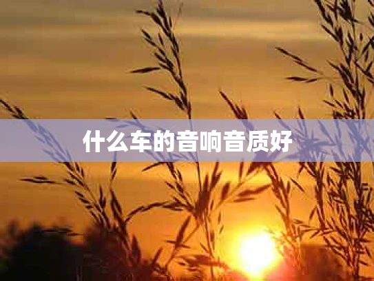 什么车的音响音质好
