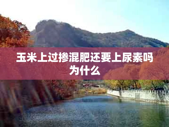 玉米上过掺混肥还要上尿素吗为什么