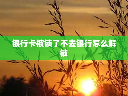 银行卡被锁了不去银行怎么解锁
