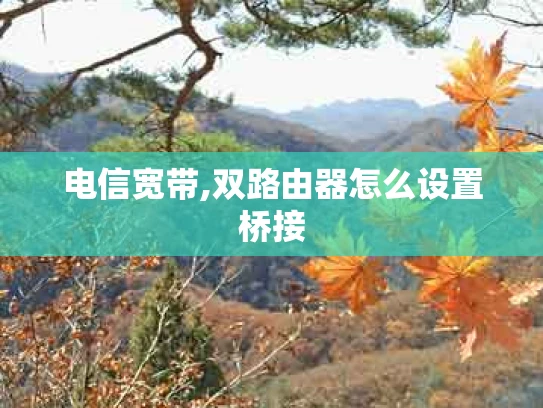 电信宽带,双路由器怎么设置桥接