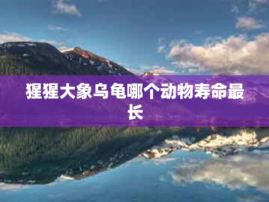 猩猩大象乌龟哪个动物寿命最长