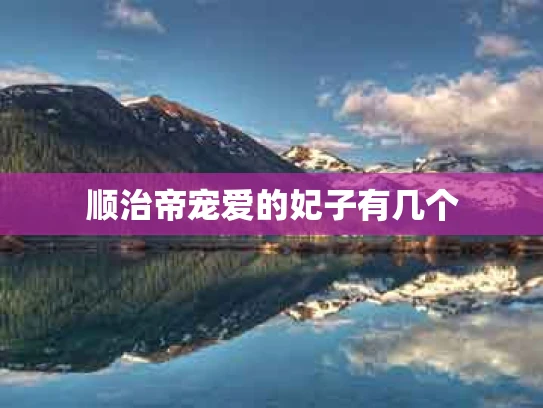 顺治帝宠爱的妃子有几个