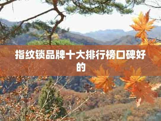 指纹锁品牌十大排行榜口碑好的